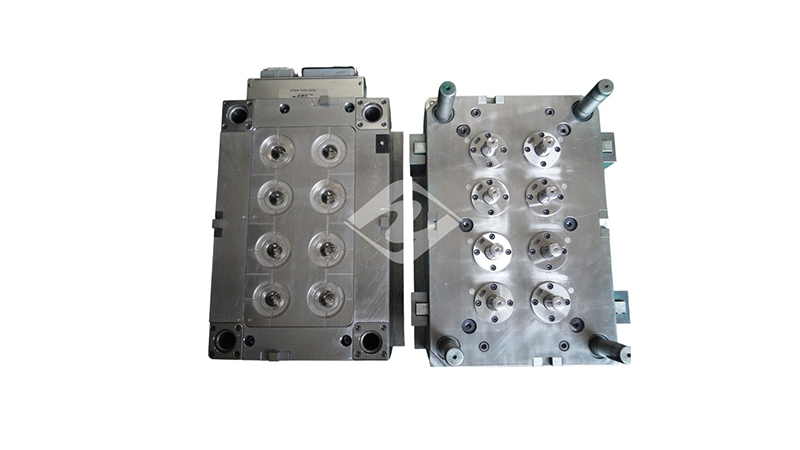1-Moulds (15)