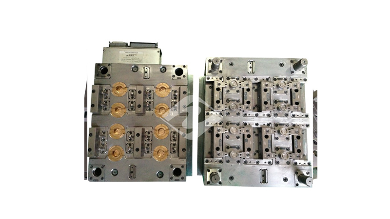1-Moulds (17)